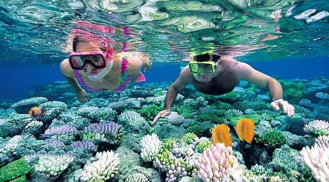 NTG01 – Nha Trang Half Day Snorkeling